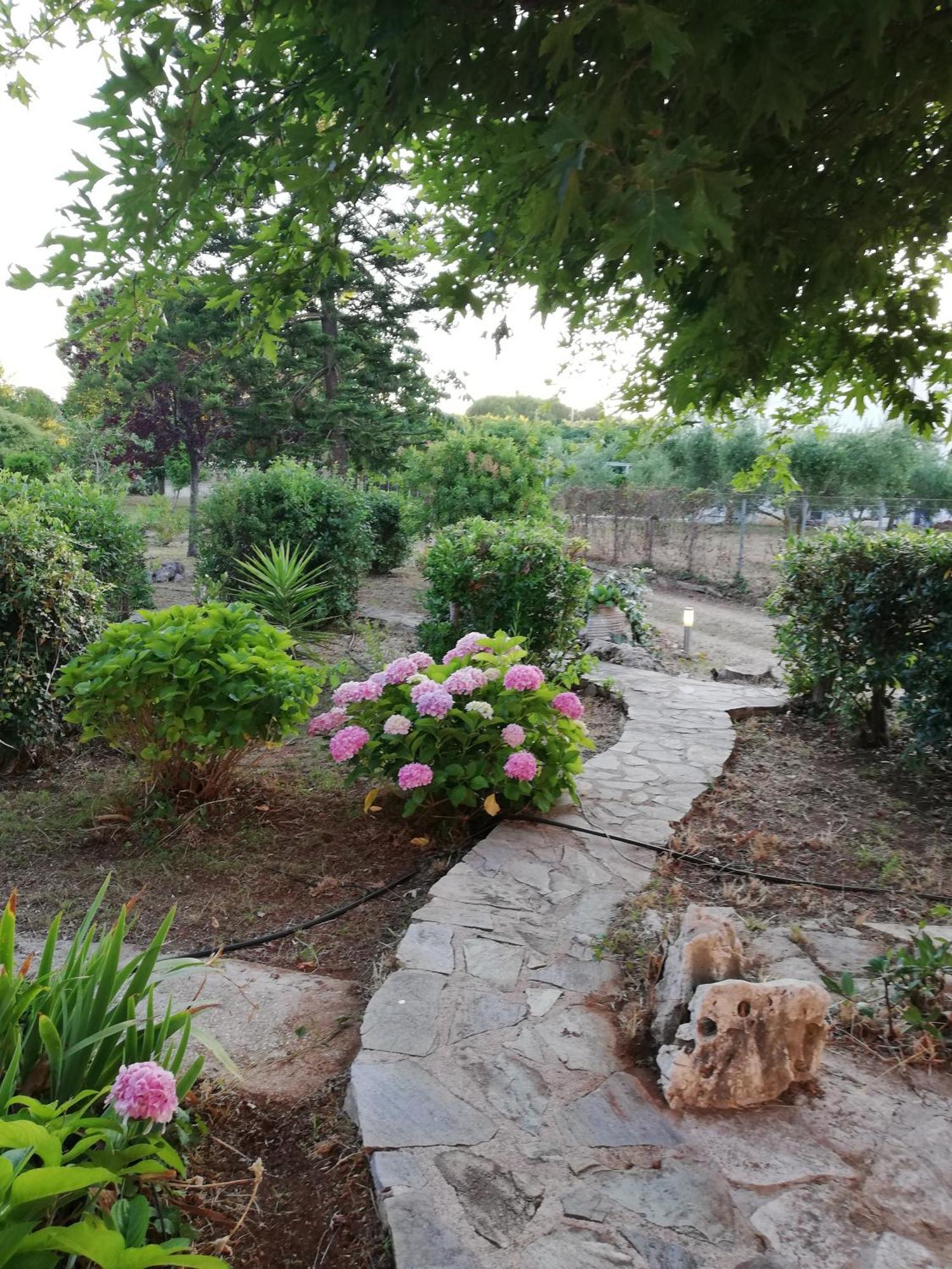 Villa Oneiropagida Preveza Ngoại thất bức ảnh
